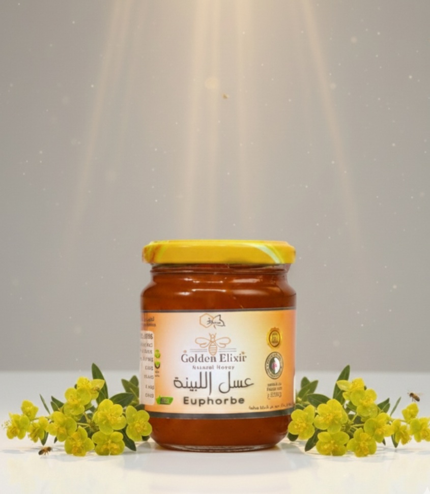 euphorbe لبينة euphorbe لبينة