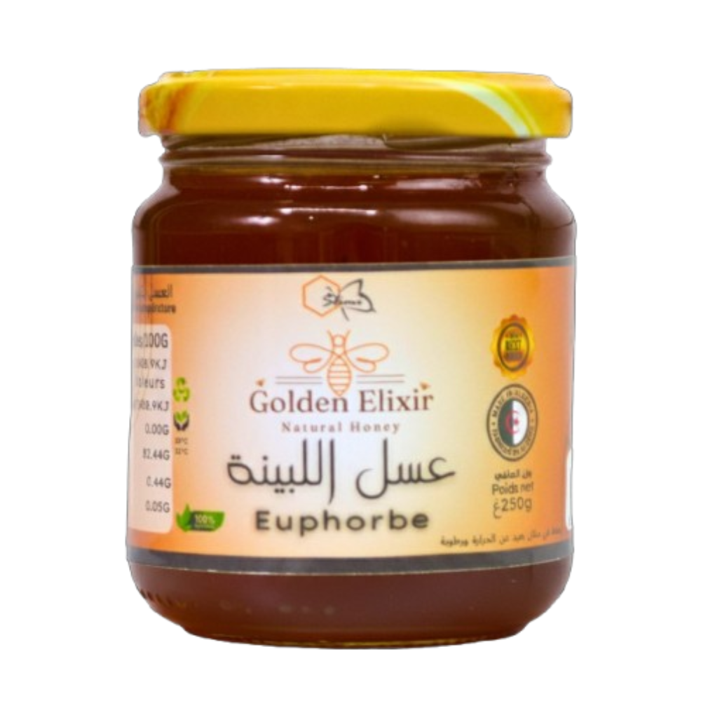 euphorbe لبينة euphorbe لبينة